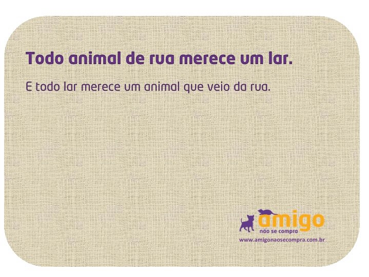 Todo animal de rua merece um lar. E todo lar merece um animal que veio da rua.