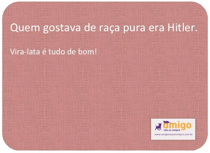 Quem gostava de raça pura era Hitler. Vira-lata é tudo de bom!