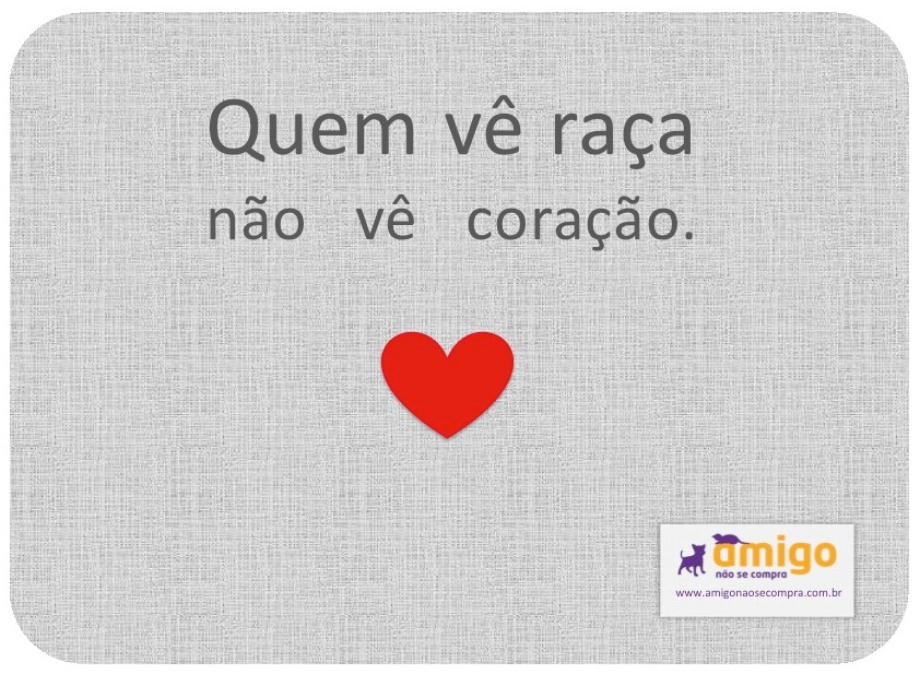 Quem vê raça não vê coração.