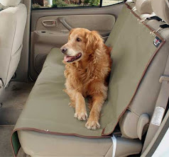 Capa para proteger o banco o carro