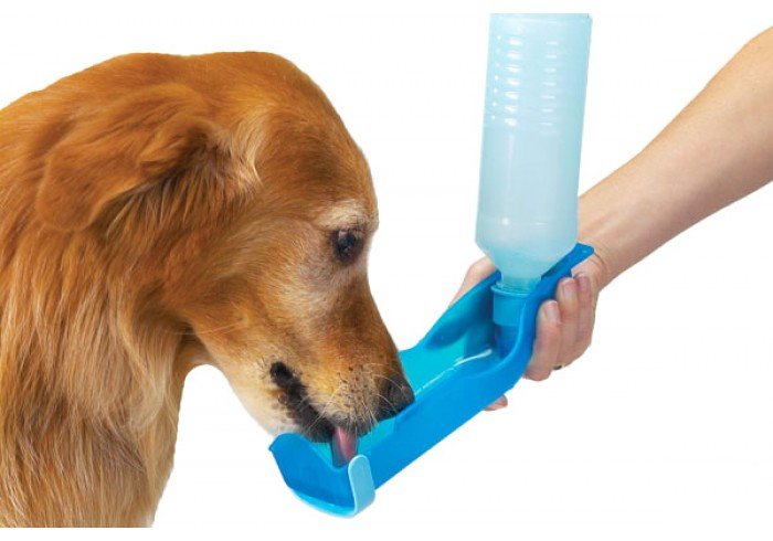 bebedouro-para-cachorro-01-700x490
