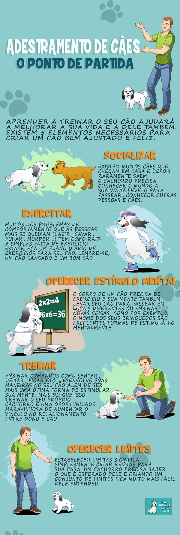 Adestramento de Cães